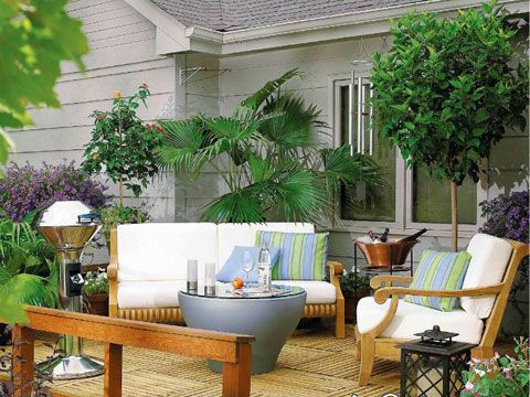 花卉与家庭风水有什么关系