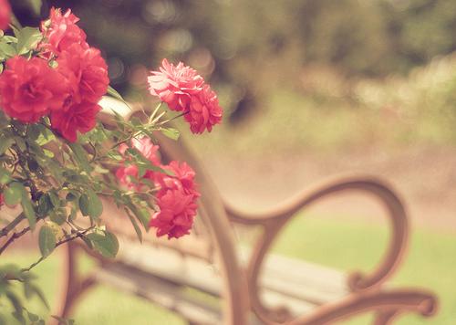 公司前台如何顺应风水