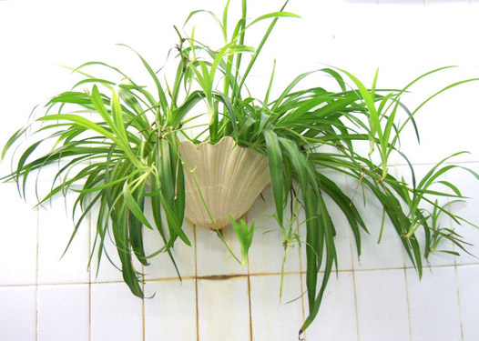 住宅风水的五虚